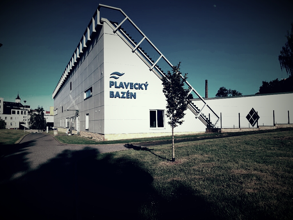 PLAVÁNÍ